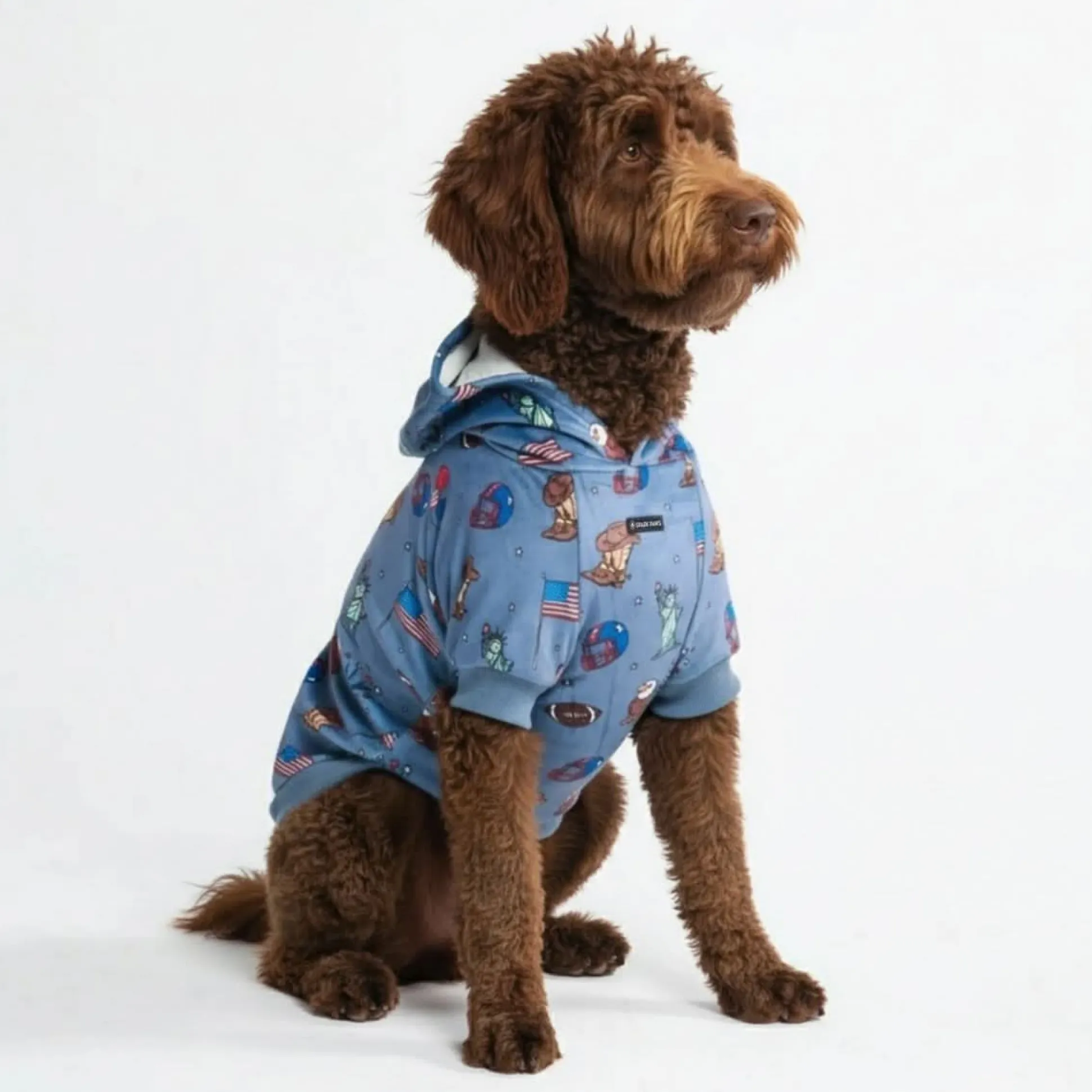 The USA Dog Hoodie - Blue