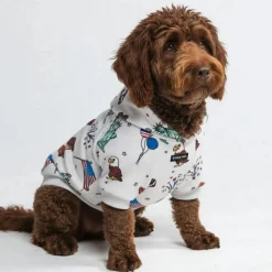 The USA Dog Hoodie - Grey