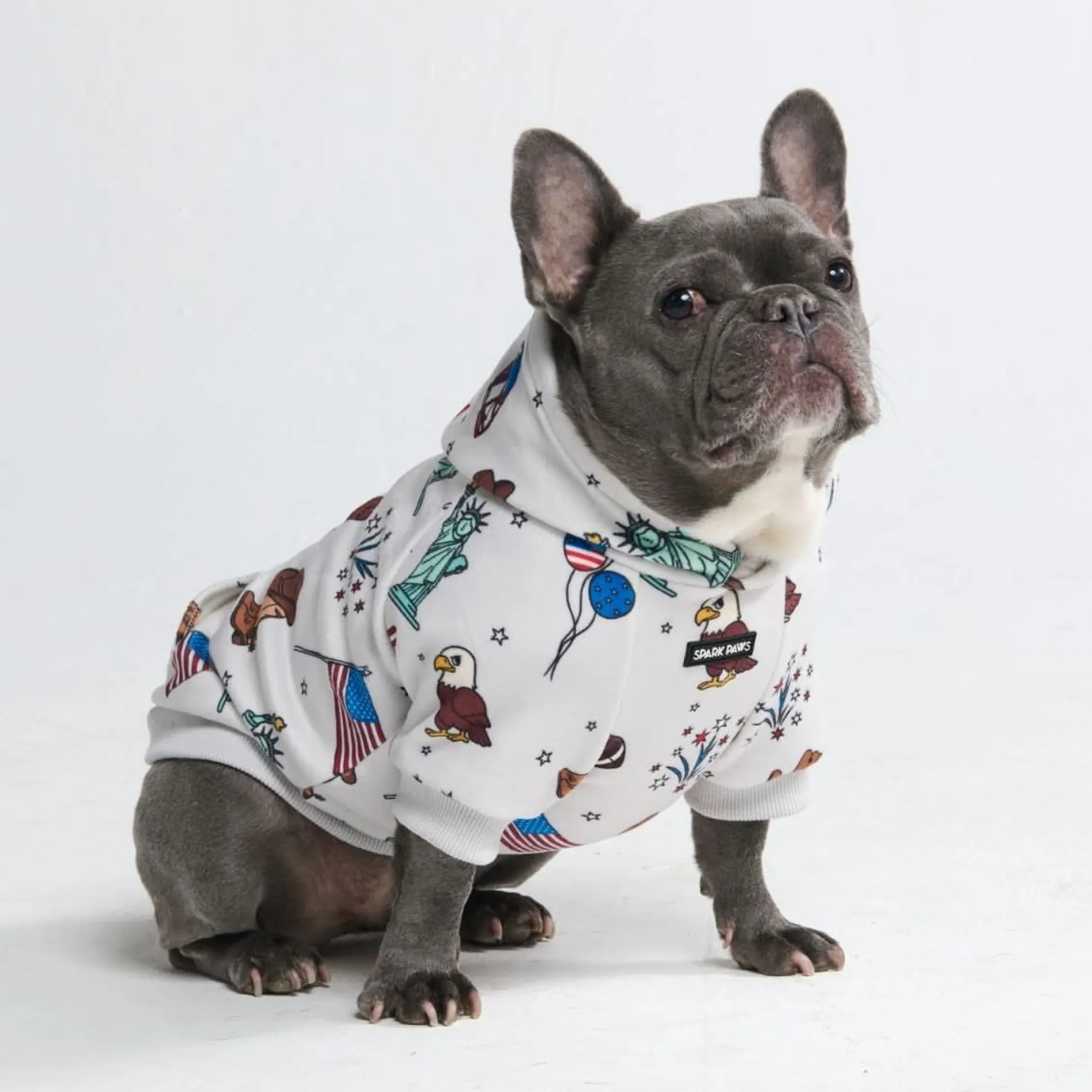 The USA Dog Hoodie - Grey