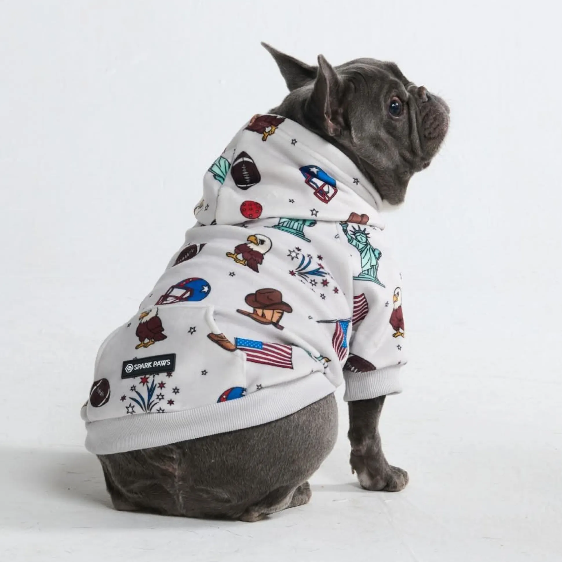 The USA Dog Hoodie - Grey
