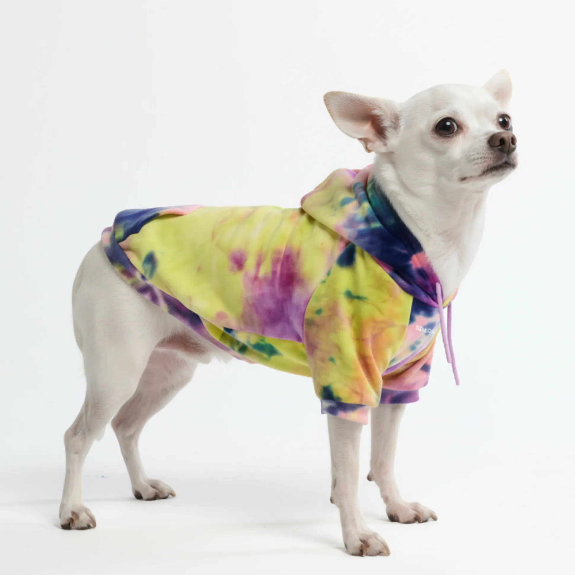 Velvet Dog Hoodie - Berry Lemonade