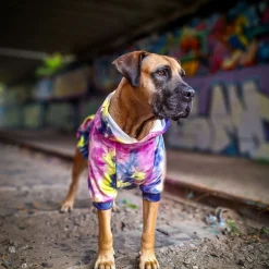 Velvet Dog Hoodie - Berry Lemonade