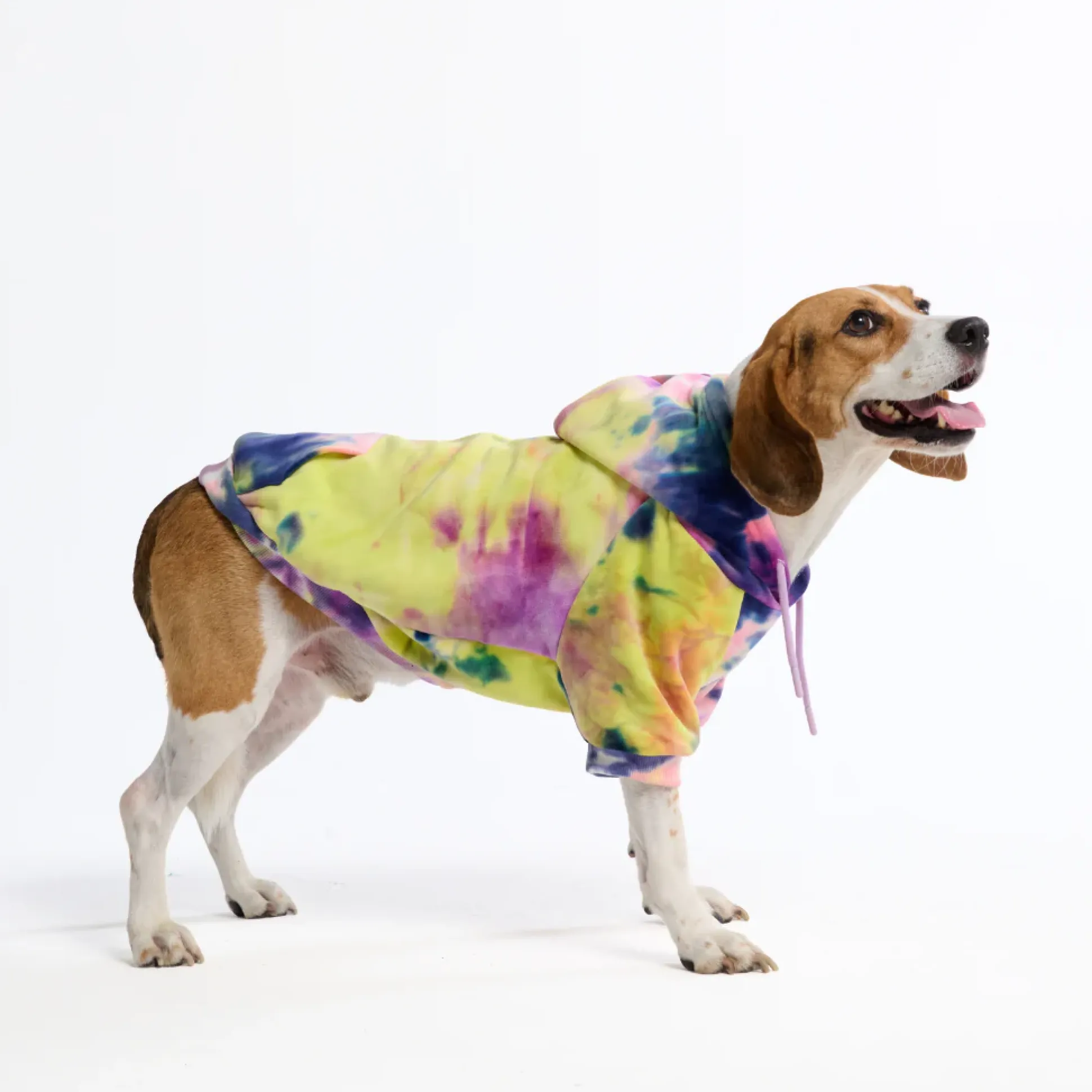 Velvet Dog Hoodie - Berry Lemonade