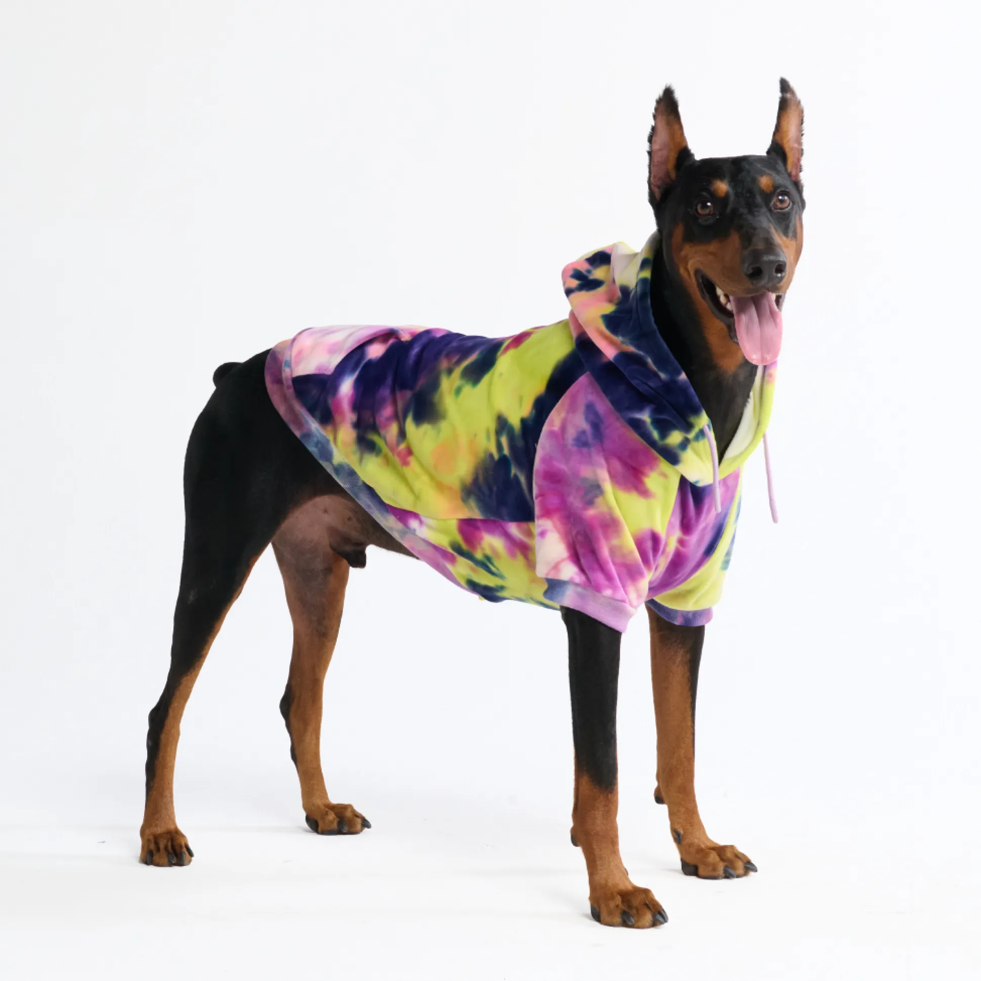 Velvet Dog Hoodie - Berry Lemonade
