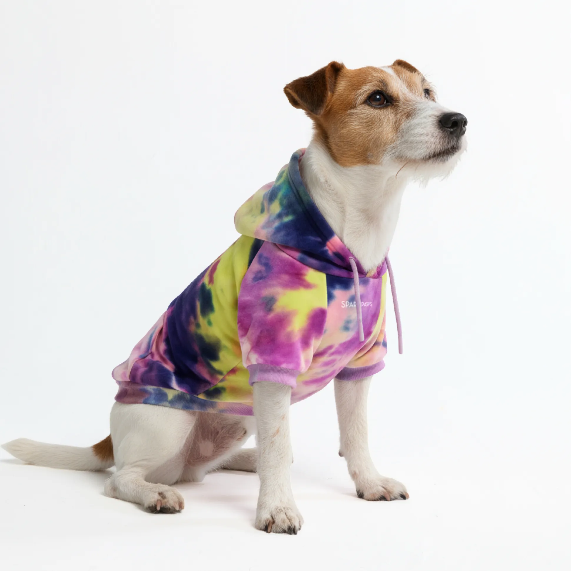 Velvet Dog Hoodie - Berry Lemonade