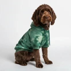 Velvet Dog Hoodie - Emerald Green