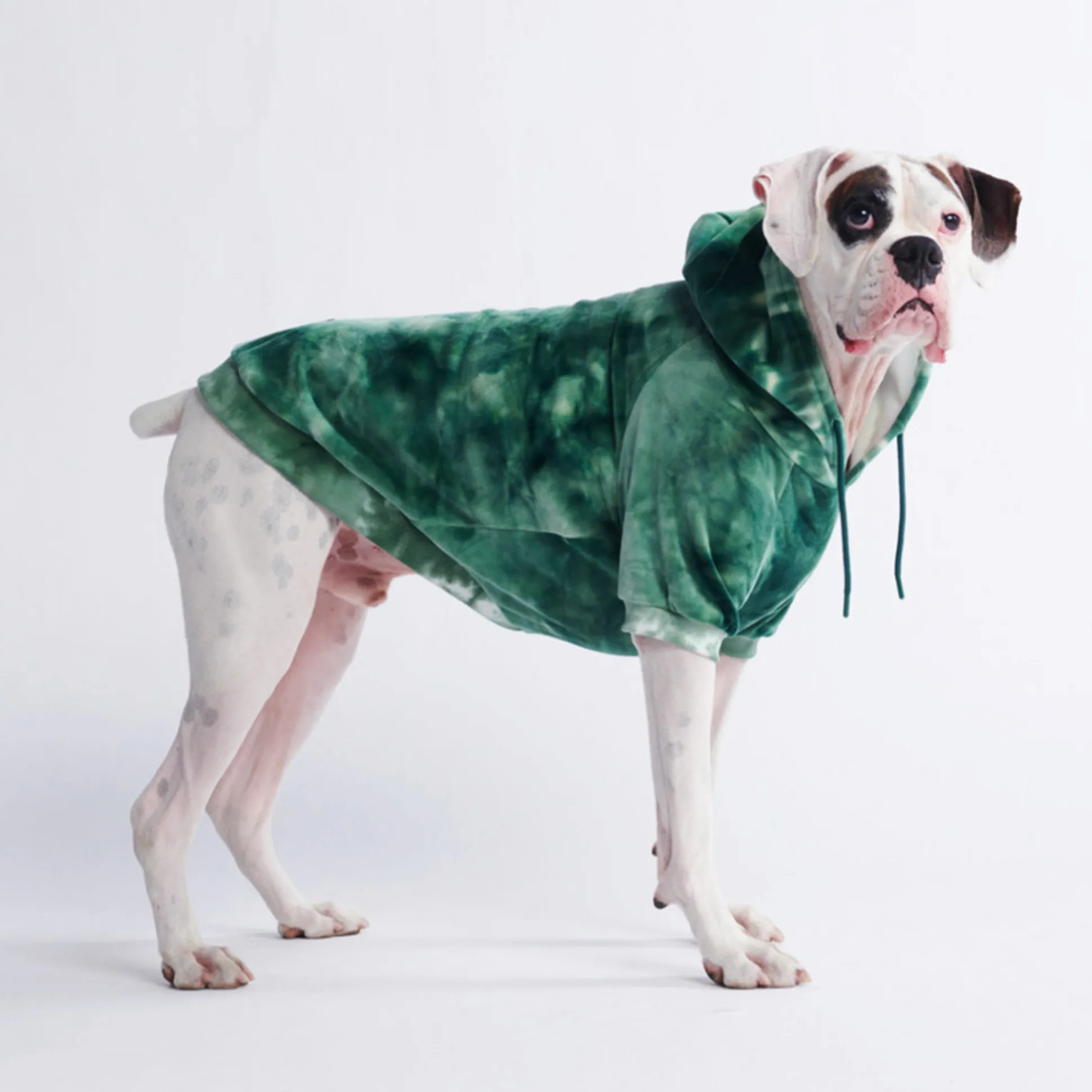 Velvet Dog Hoodie - Emerald Green
