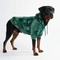 Velvet Dog Hoodie - Emerald Green