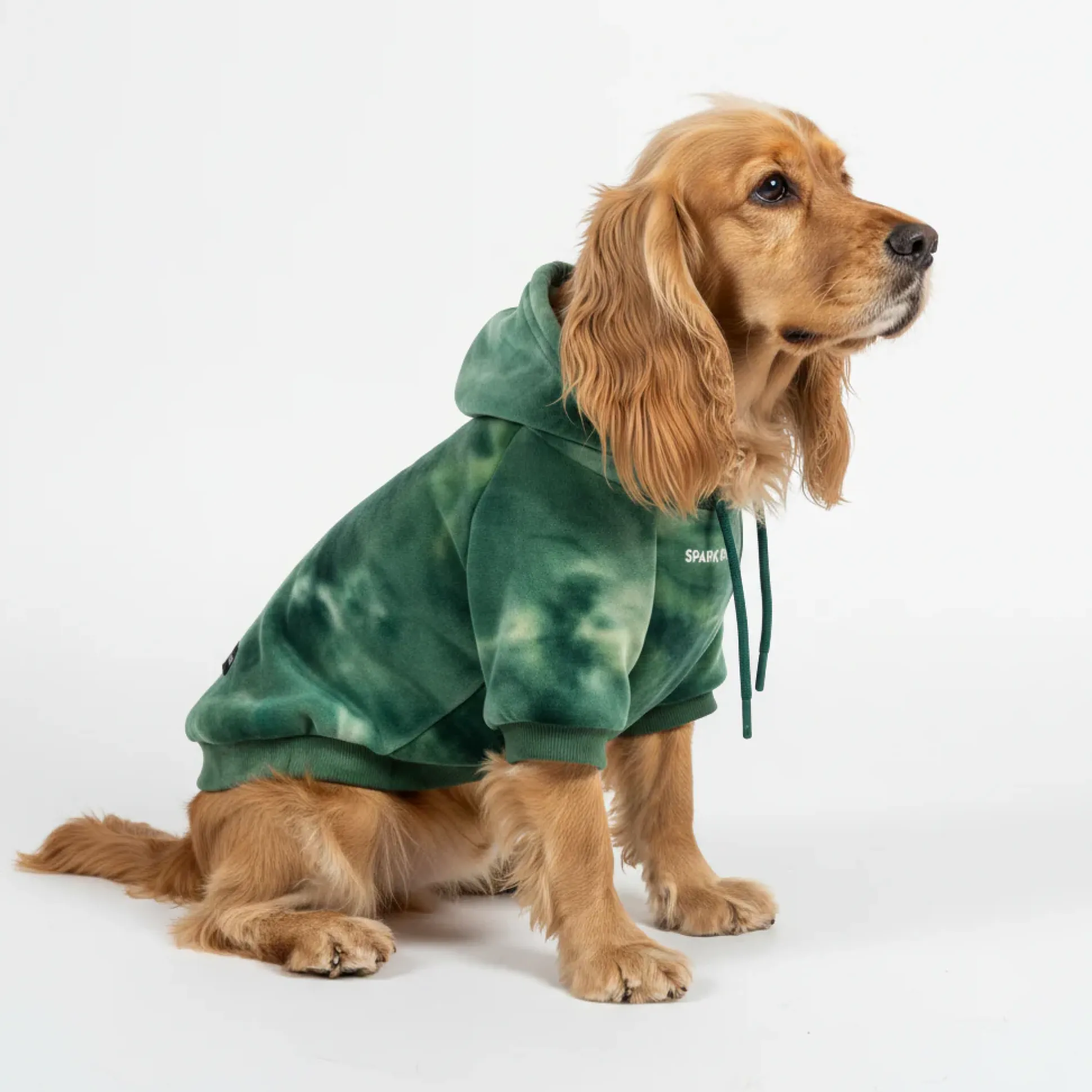 Velvet Dog Hoodie - Emerald Green