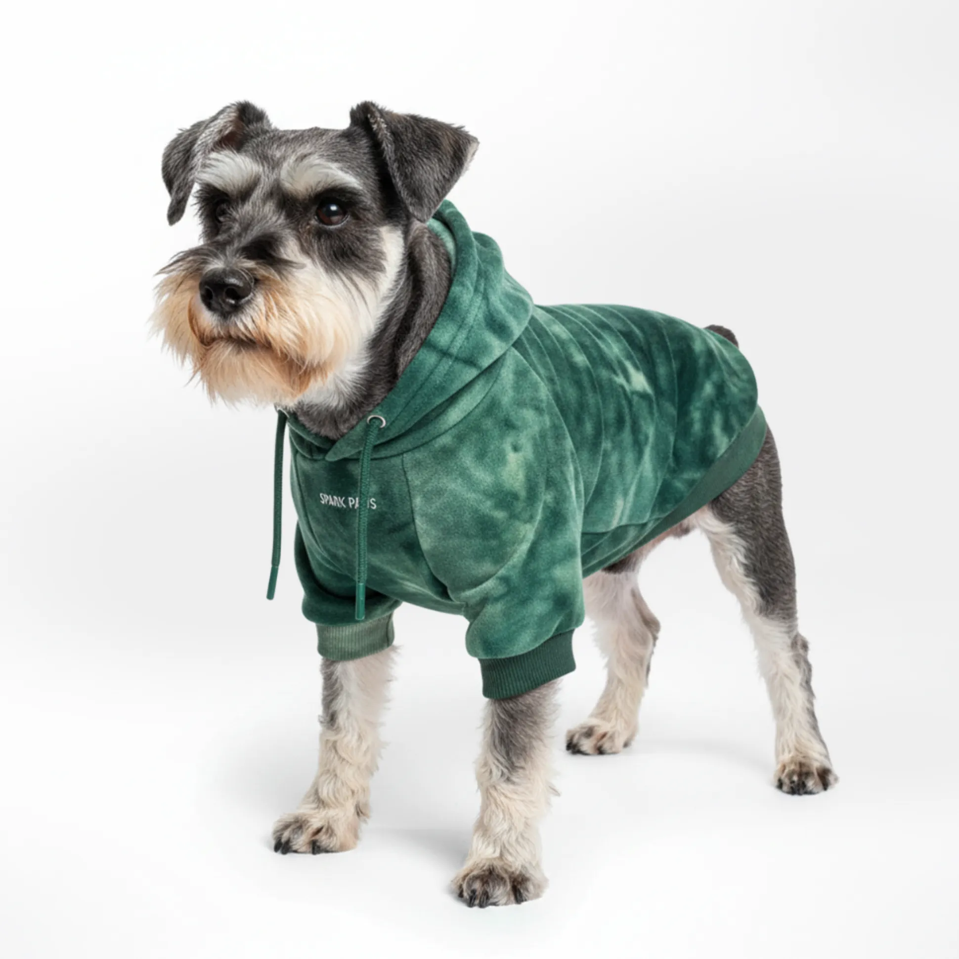 Velvet Dog Hoodie - Emerald Green