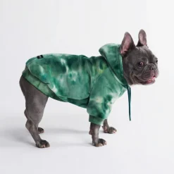 Velvet Dog Hoodie - Emerald Green