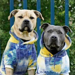 Velvet Dog Hoodie - Nova