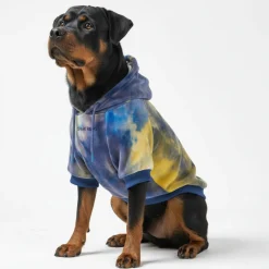 Velvet Dog Hoodie - Nova