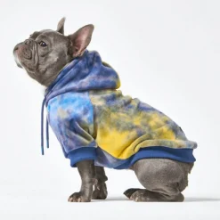 Velvet Dog Hoodie - Nova