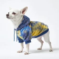 Velvet Dog Hoodie - Nova