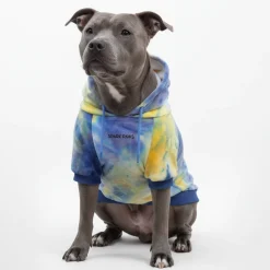 Velvet Dog Hoodie - Nova