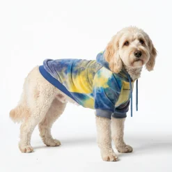 Velvet Dog Hoodie - Nova