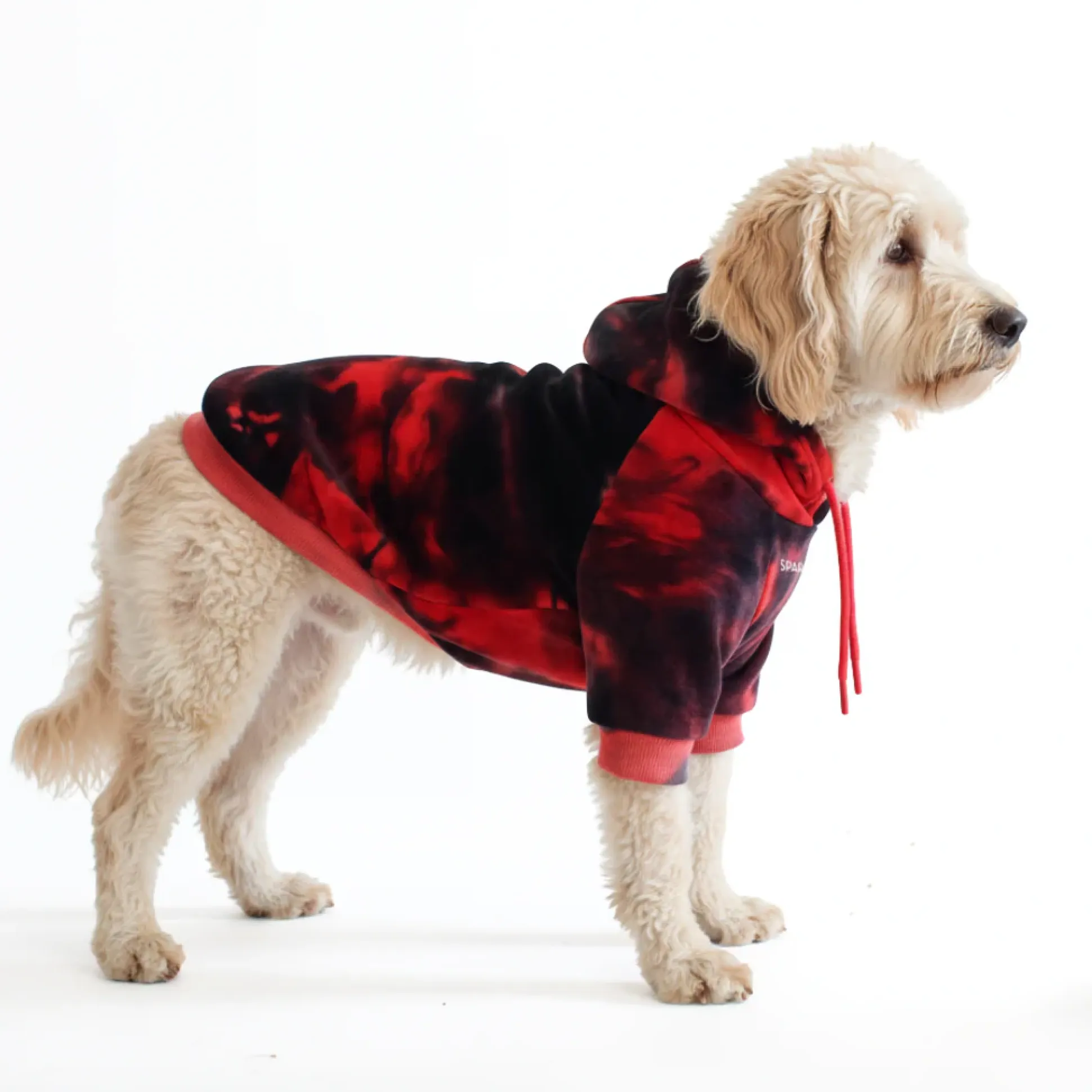 Velvet Dog Hoodie - Red & Black