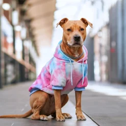 Velvet Dog Hoodie - Snow Cone