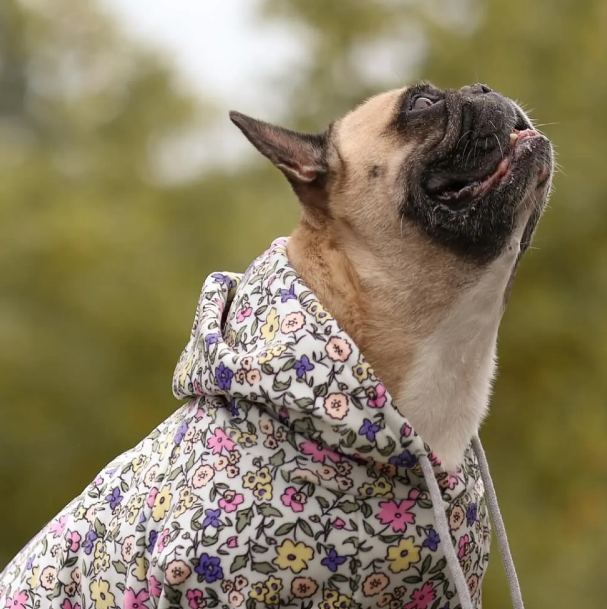 Vintage Flower Dog Hoodie - Light Grey