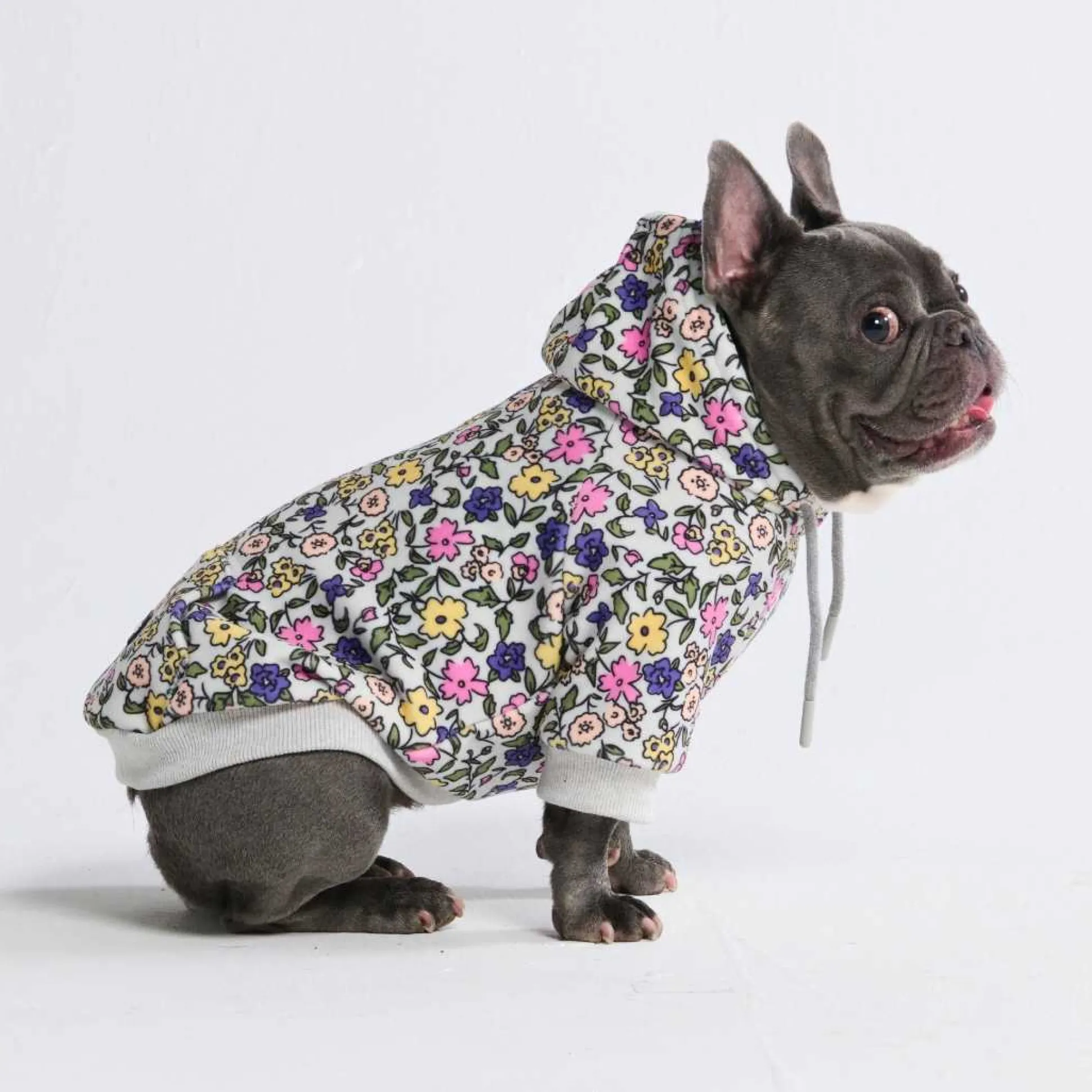 Vintage Flower Dog Hoodie - Light Grey