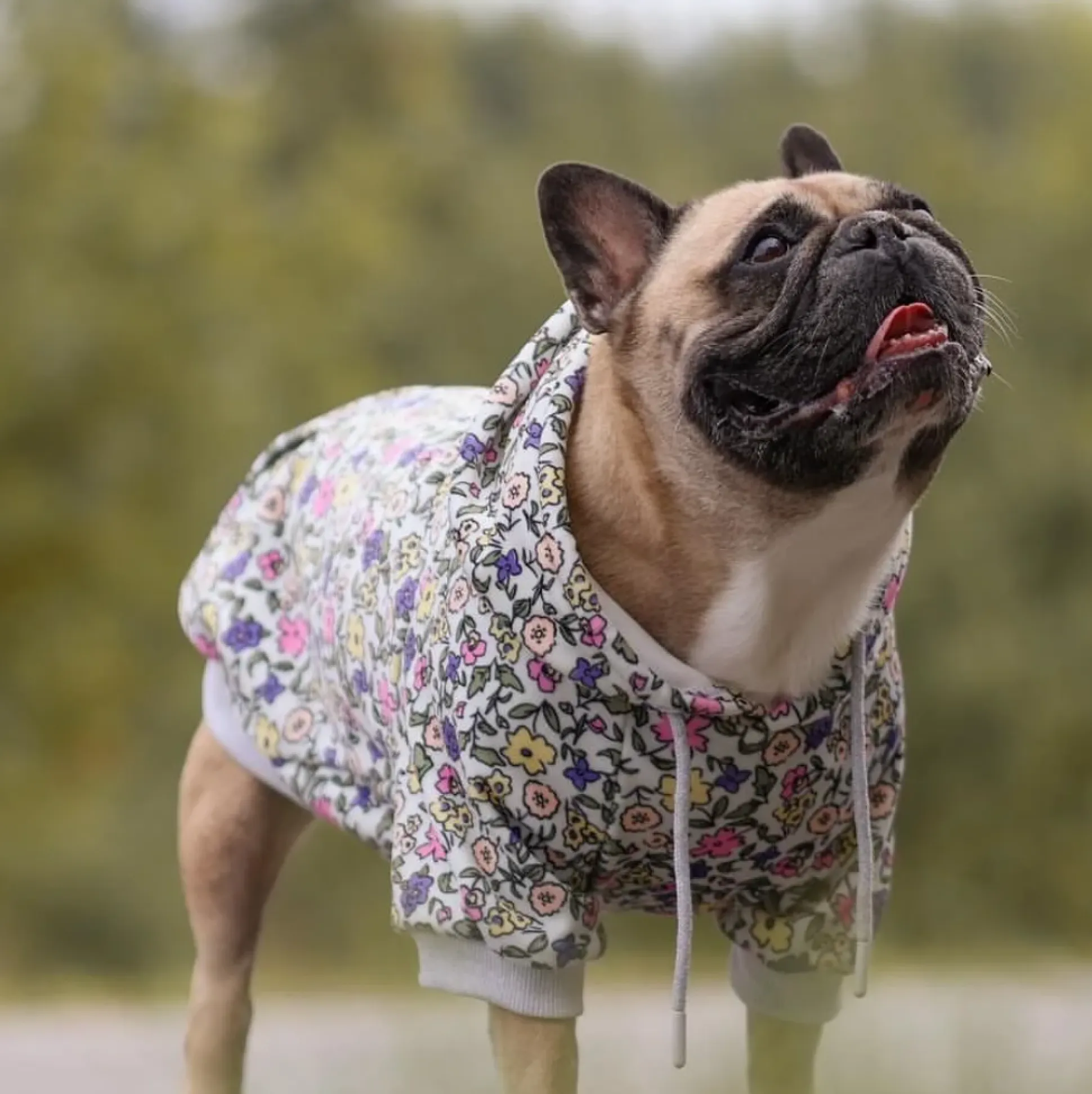 Vintage Flower Dog Hoodie - Light Grey