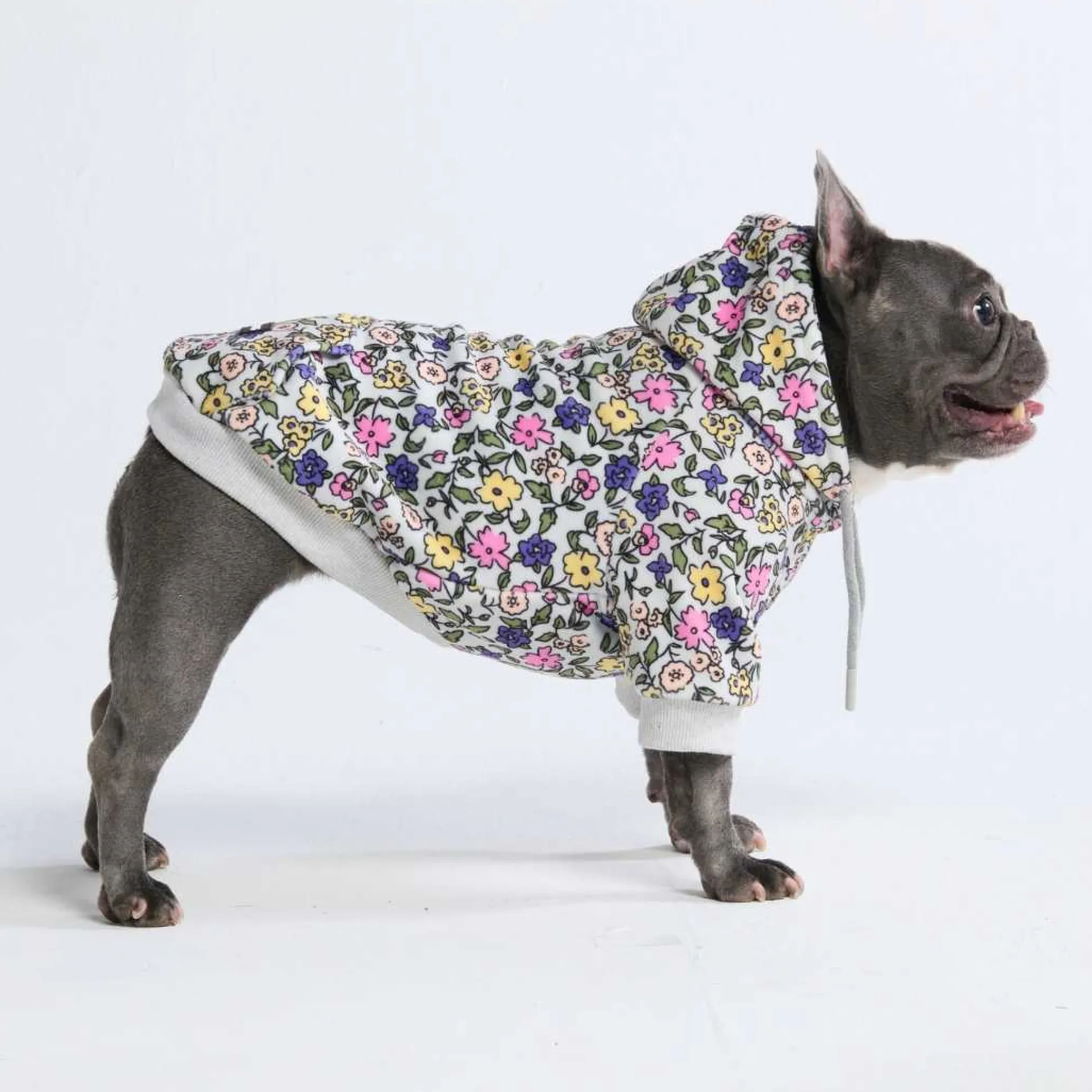 Vintage Flower Dog Hoodie - Light Grey