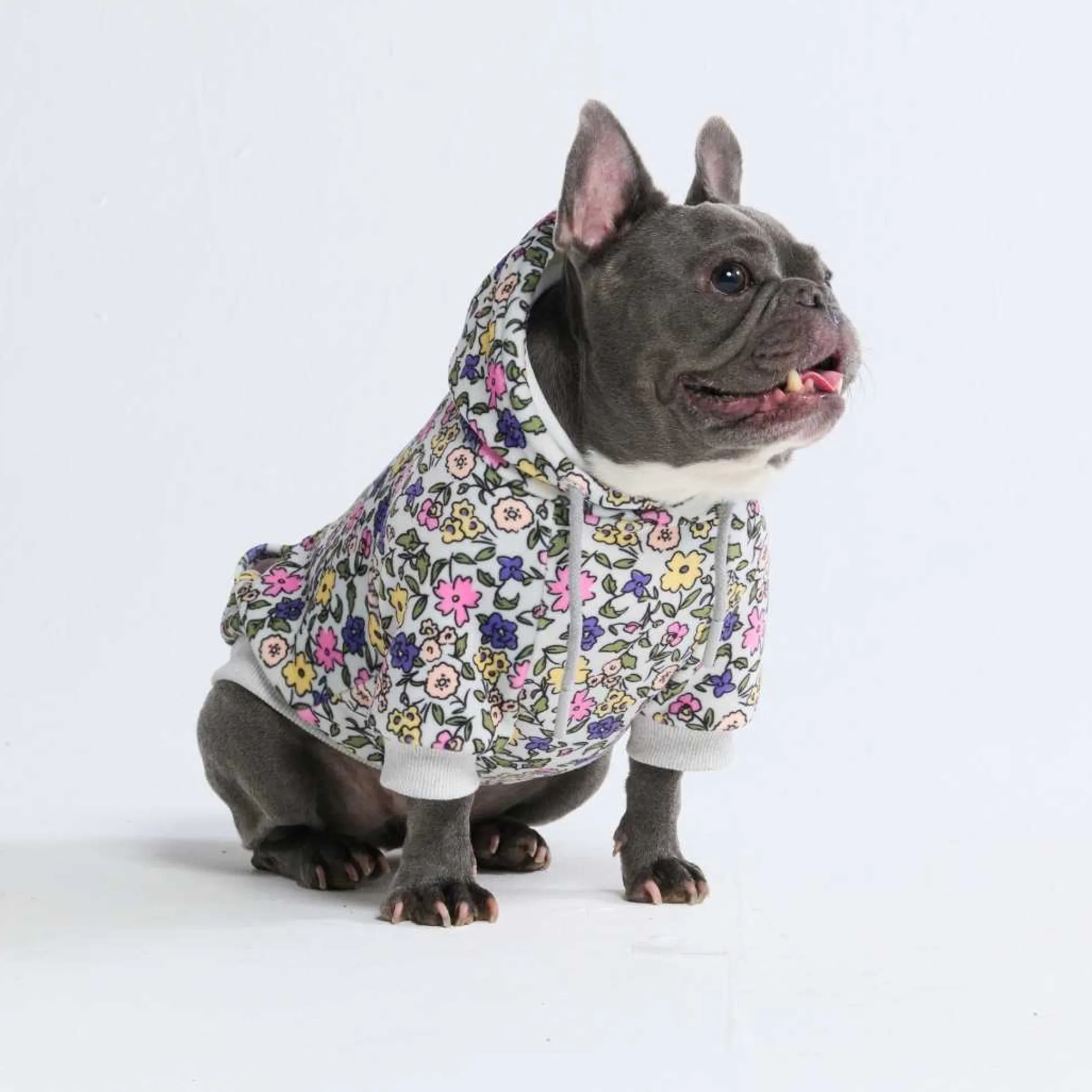 Vintage Flower Dog Hoodie - Light Grey
