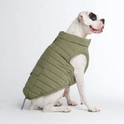 WarmShield Water-Resistant Jacket - Olive