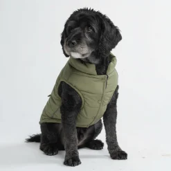 WarmShield Water-Resistant Jacket - Olive