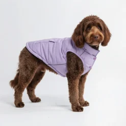 WarmShield Water-Resistant Jacket - Lilac