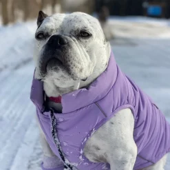 WarmShield Water-Resistant Jacket - Lilac