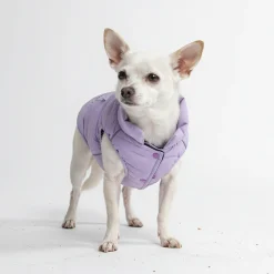 WarmShield Water-Resistant Jacket - Lilac