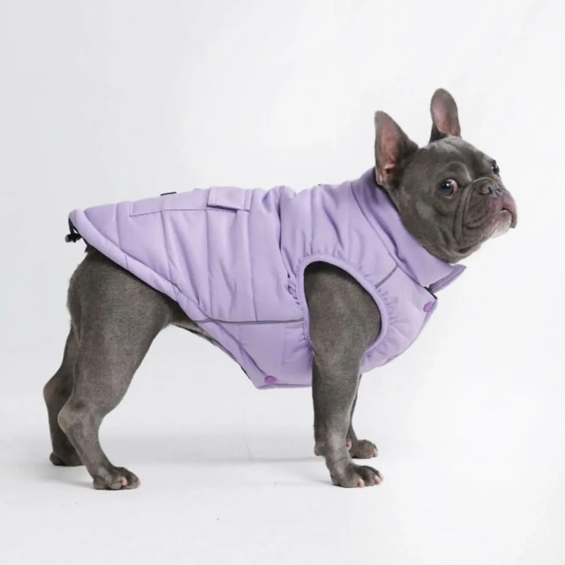 WarmShield Water-Resistant Jacket - Lilac