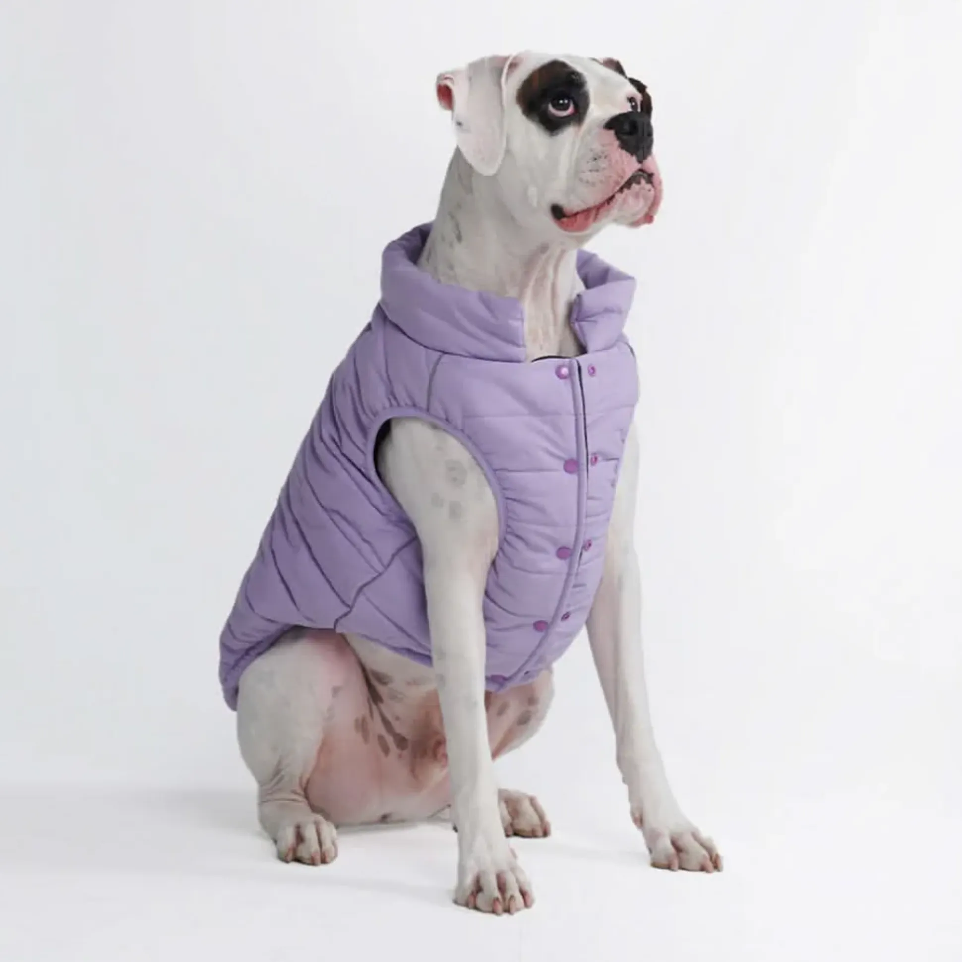 WarmShield Water-Resistant Jacket - Lilac