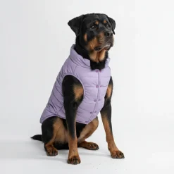 WarmShield Water-Resistant Jacket - Lilac
