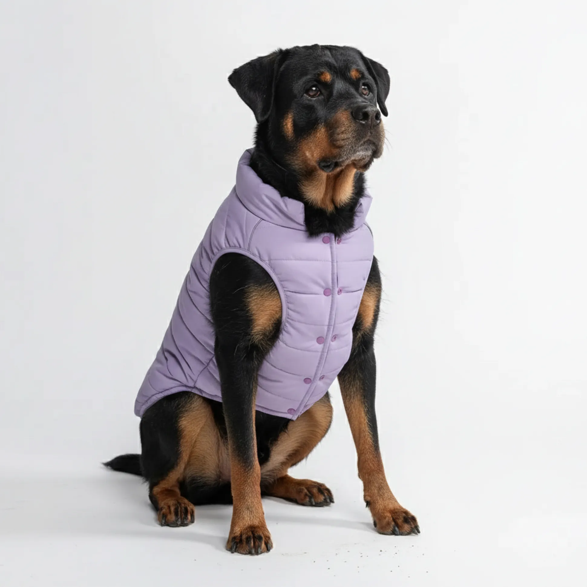 WarmShield Water-Resistant Jacket - Lilac
