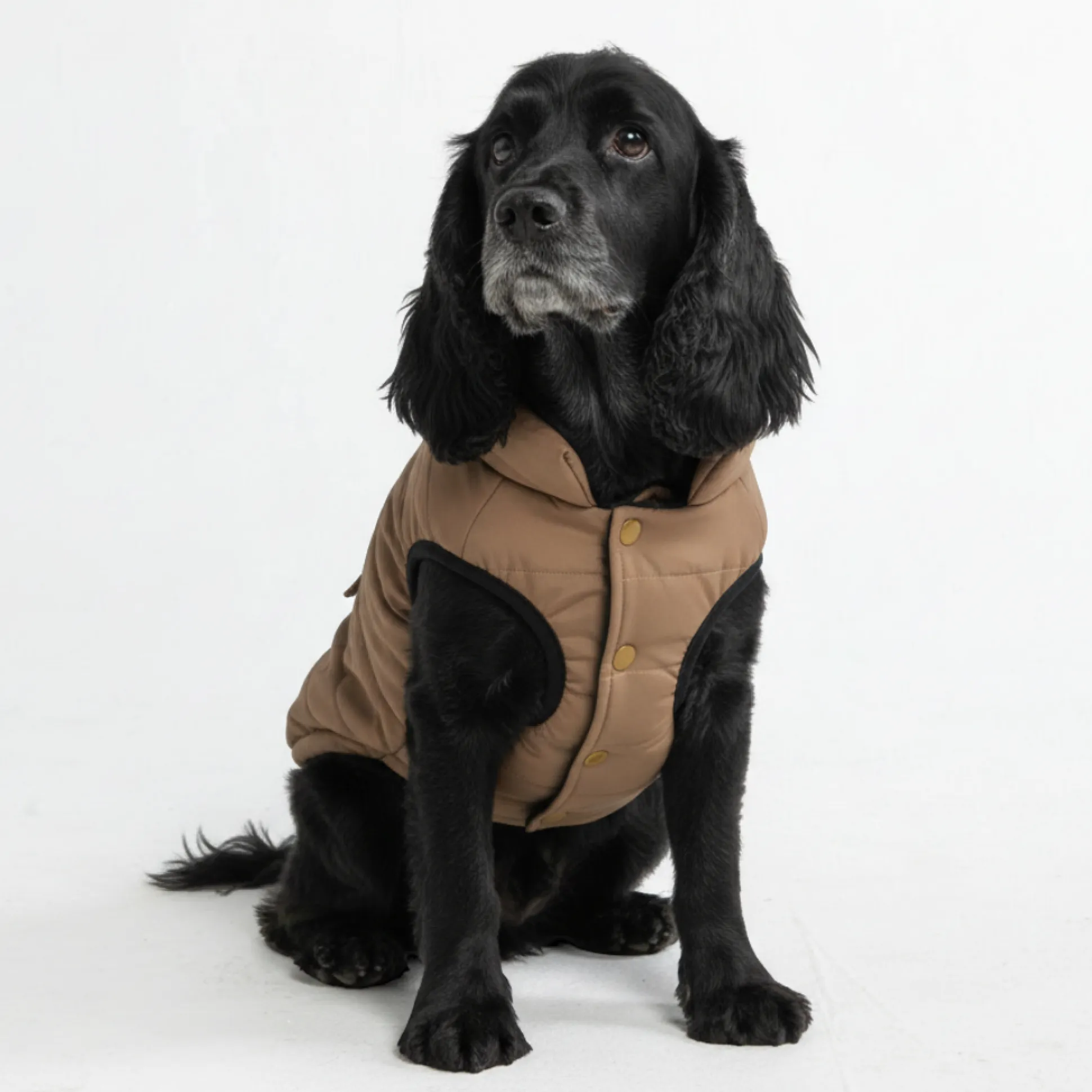 WarmShield Water-Resistant Jacket - Tan