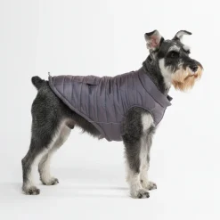 WarmShield Water-Resistant Jacket - Gunmetal Grey