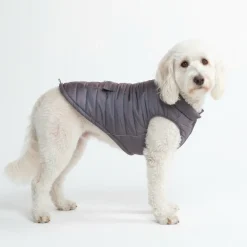 WarmShield Water-Resistant Jacket - Gunmetal Grey