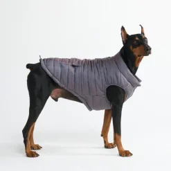 WarmShield Water-Resistant Jacket - Gunmetal Grey