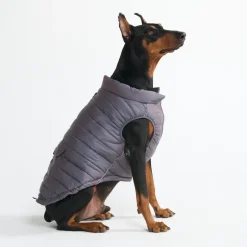 WarmShield Water-Resistant Jacket - Gunmetal Grey