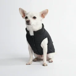 WarmShield Water-Resistant Jacket - Black