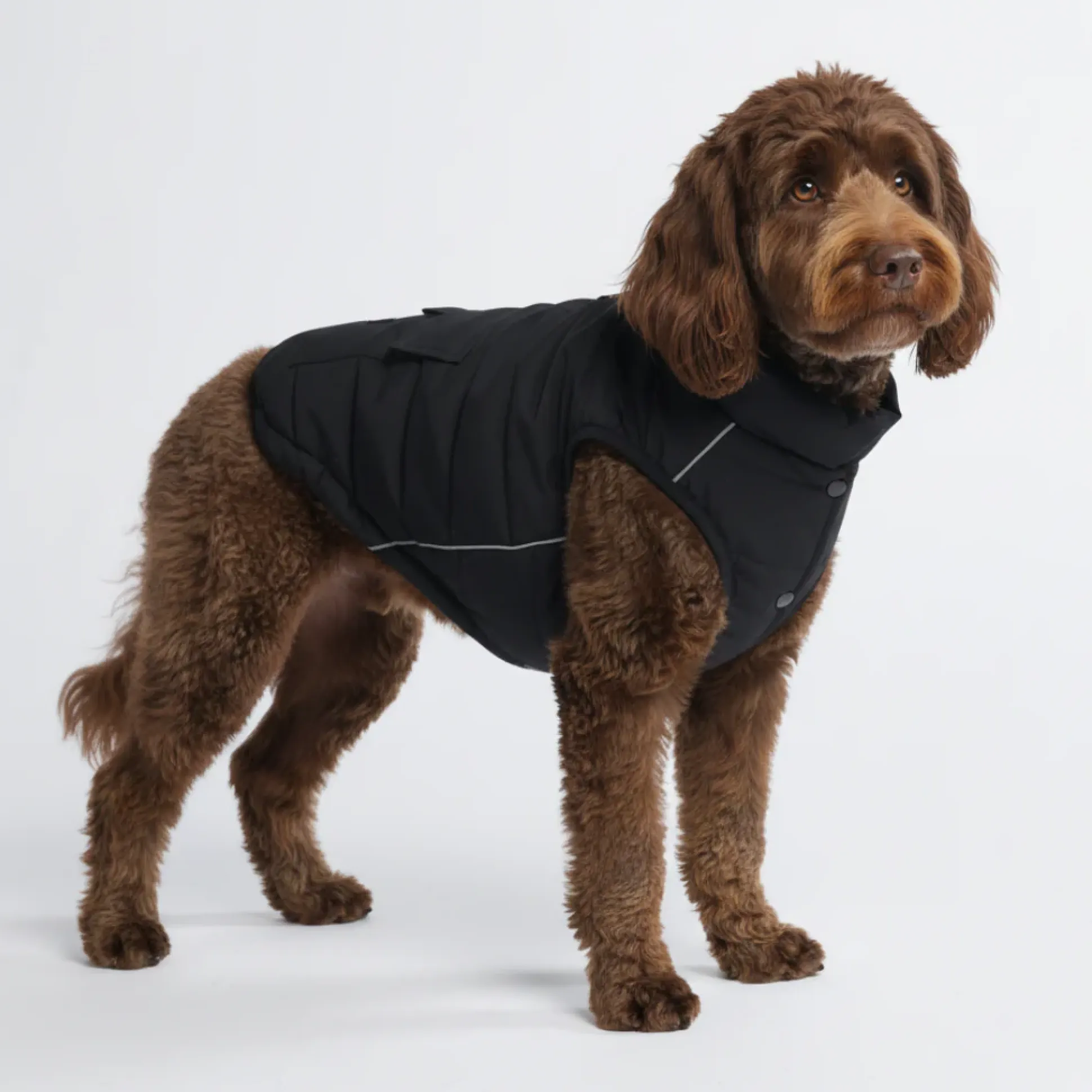 WarmShield Water-Resistant Jacket - Black
