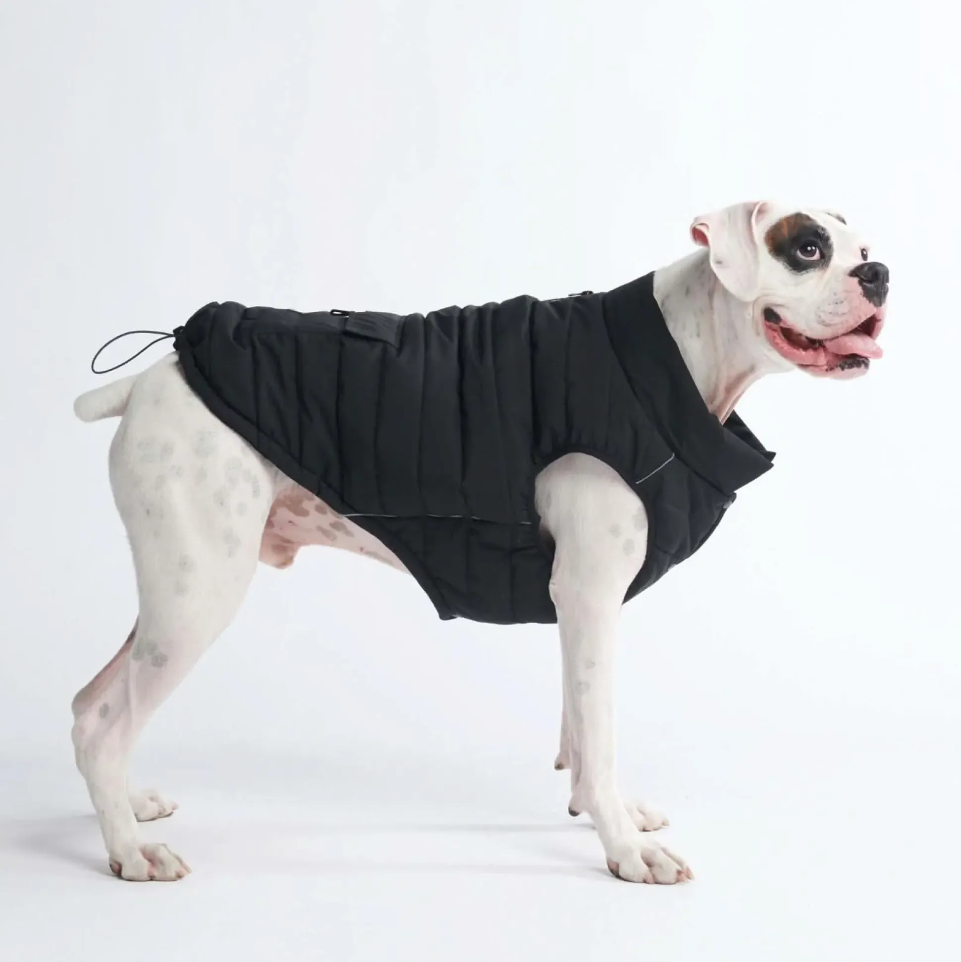 WarmShield Water-Resistant Jacket - Black