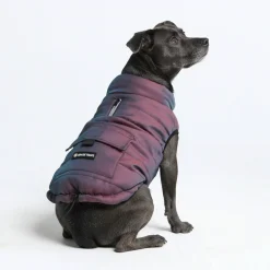 WarmShield Water-Resistant Jacket - Cosmic