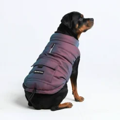 WarmShield Water-Resistant Jacket - Cosmic