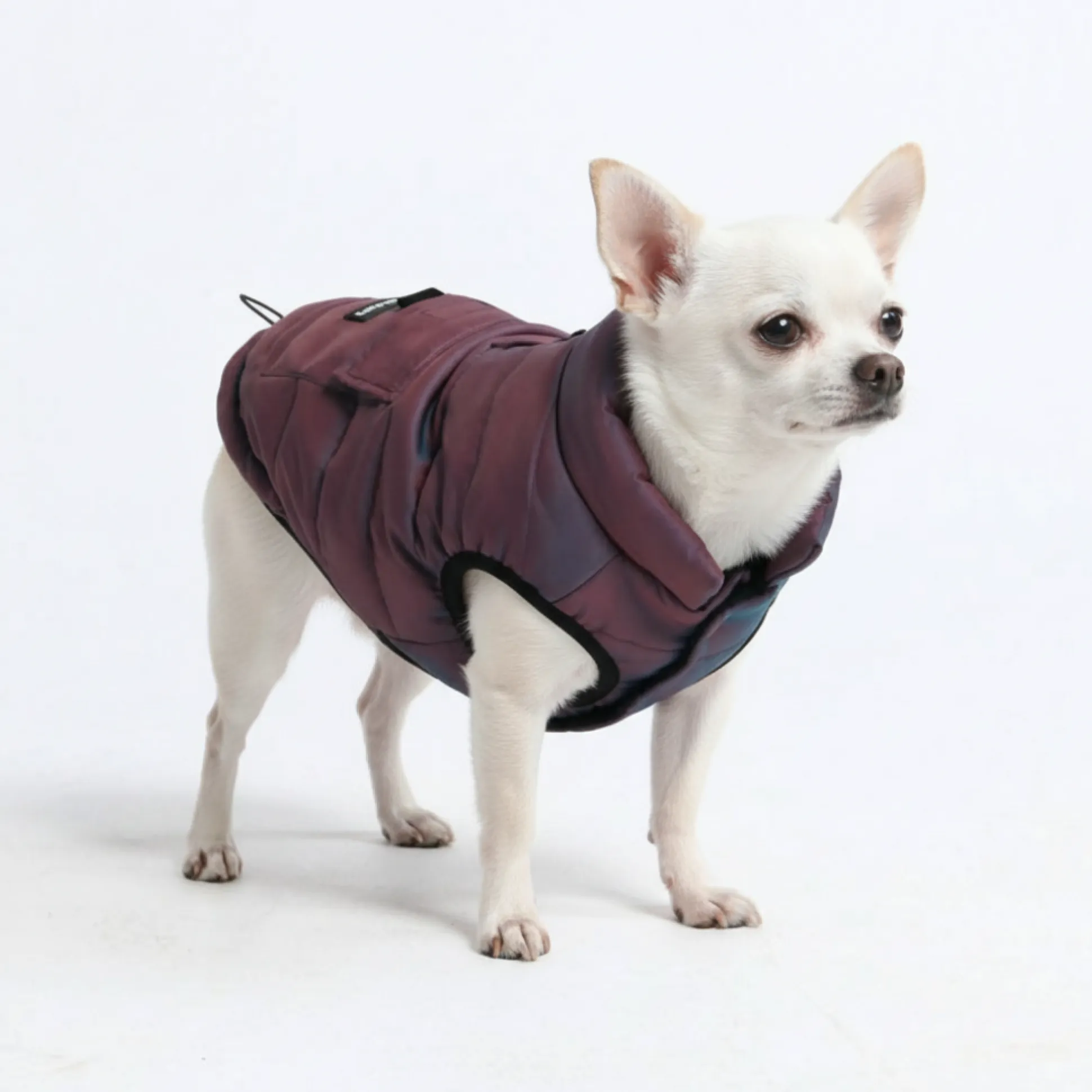 WarmShield Water-Resistant Jacket - Cosmic