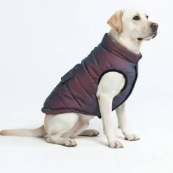WarmShield Water-Resistant Jacket - Cosmic