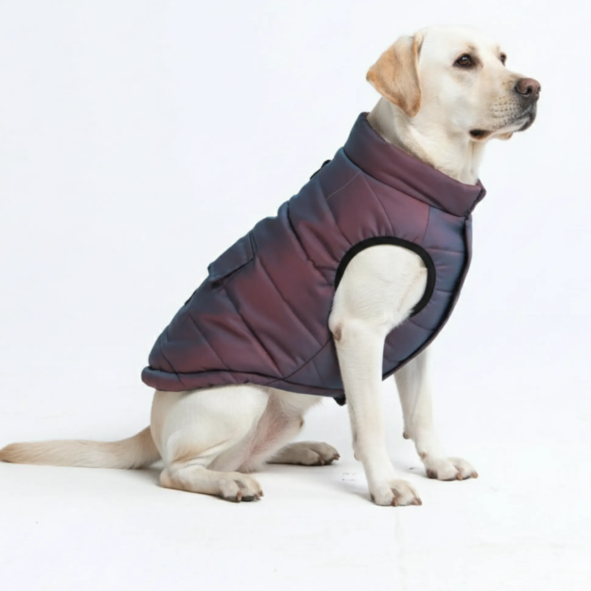 WarmShield Water-Resistant Jacket - Cosmic